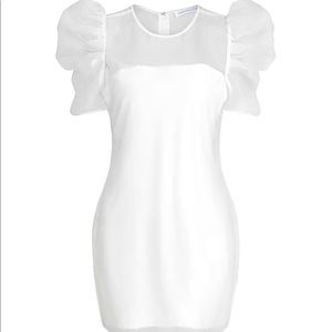 Endless Rose Organza Puff Sleeve Mini